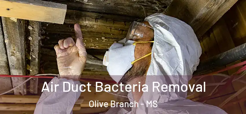 Air Duct Bacteria Removal Olive Branch - MS