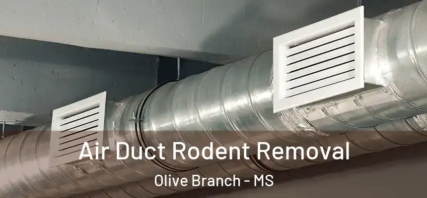 Air Duct Rodent Removal Olive Branch - MS