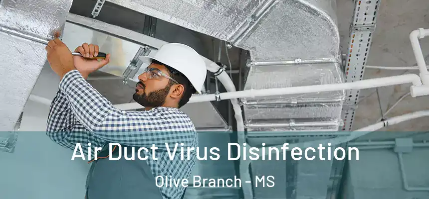  Air Duct Virus Disinfection Olive Branch - MS