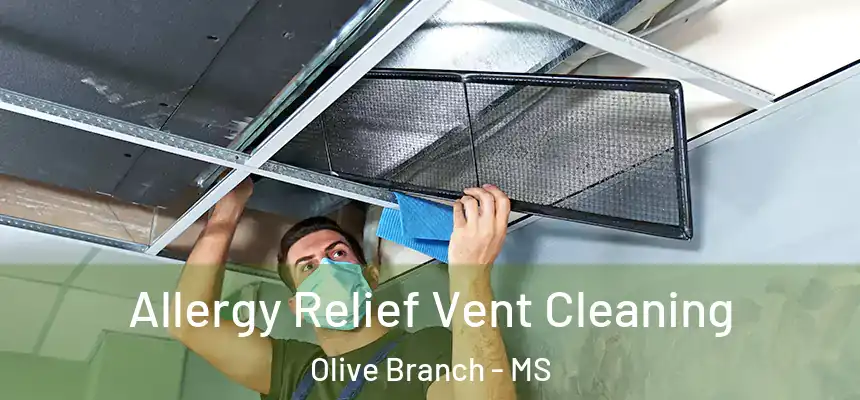  Allergy Relief Vent Cleaning Olive Branch - MS