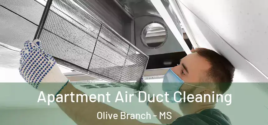 Apartment Air Duct Cleaning Olive Branch - MS