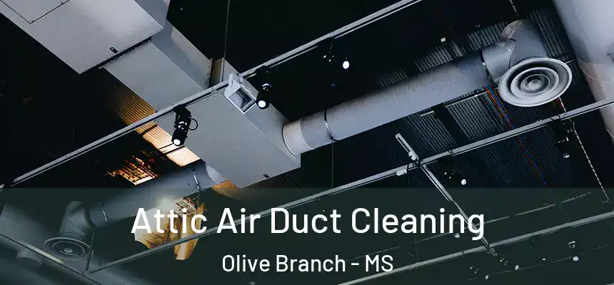  Attic Air Duct Cleaning Olive Branch - MS