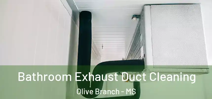 Bathroom Exhaust Duct Cleaning Olive Branch - MS