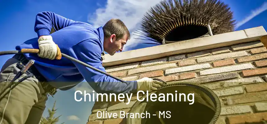 Chimney Cleaning Olive Branch - MS