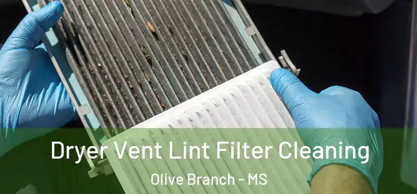 Dryer Vent Lint Filter Cleaning Olive Branch - MS