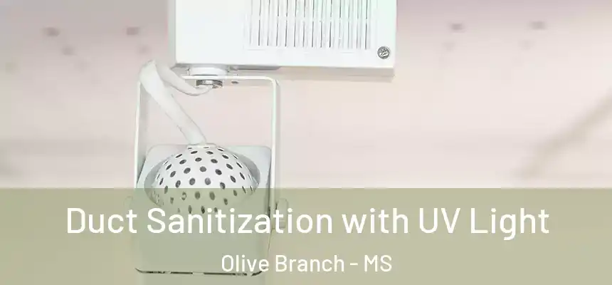 Duct Sanitization with UV Light Olive Branch - MS