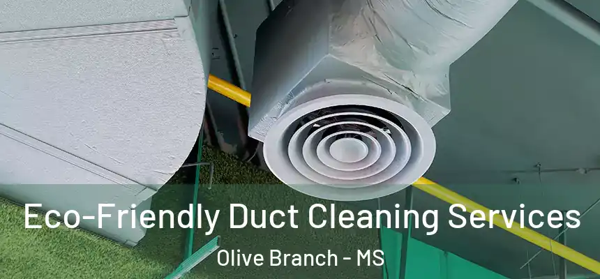  Eco-Friendly Duct Cleaning Services Olive Branch - MS
