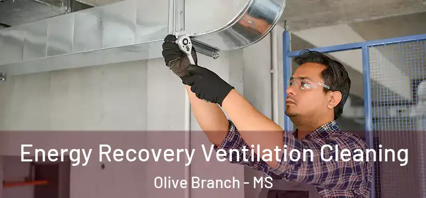 Energy Recovery Ventilation Cleaning Olive Branch - MS