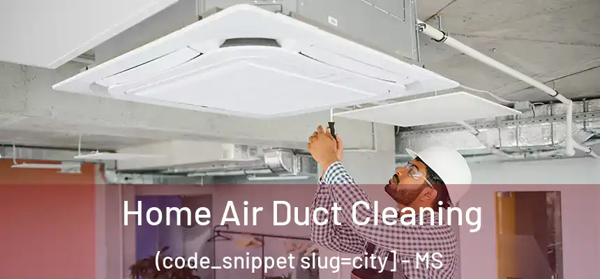  Home Air Duct Cleaning (code_snippet slug=city] - MS