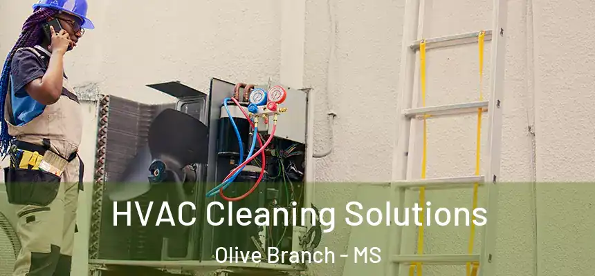  HVAC Cleaning Solutions Olive Branch - MS