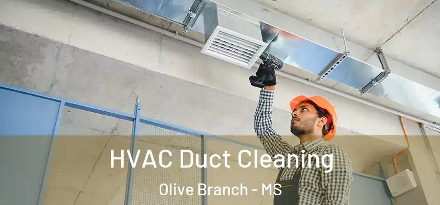 HVAC Duct Cleaning Olive Branch - MS