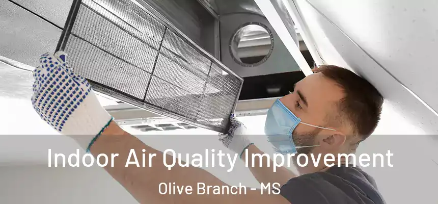  Indoor Air Quality Improvement Olive Branch - MS