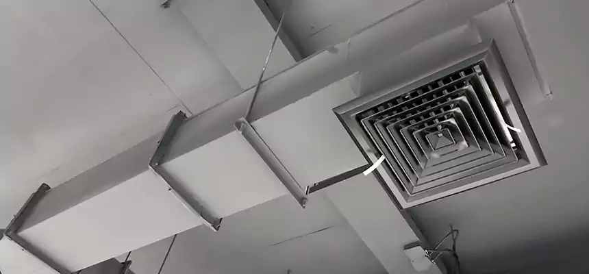 Our Rodent Droppings In Vents Services in Olive Branch, MS