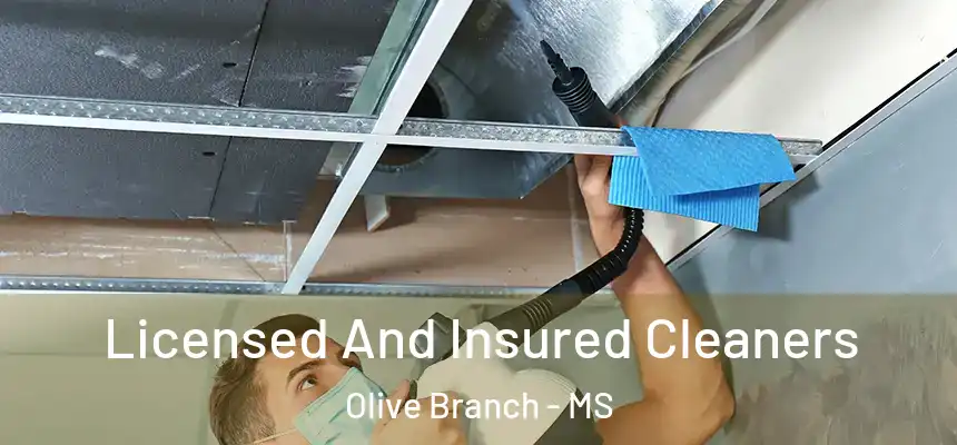  Licensed And Insured Cleaners Olive Branch - MS