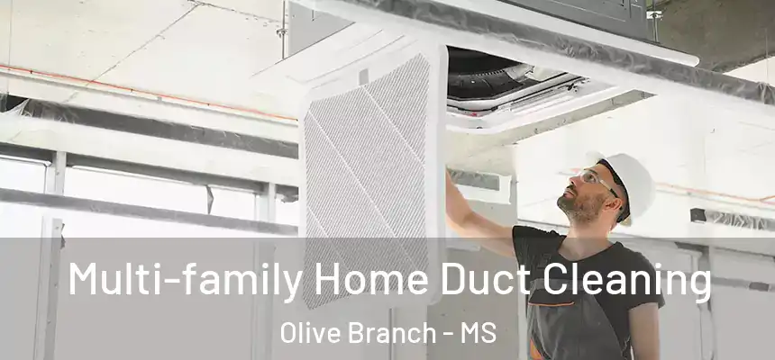  Multi-family Home Duct Cleaning Olive Branch - MS