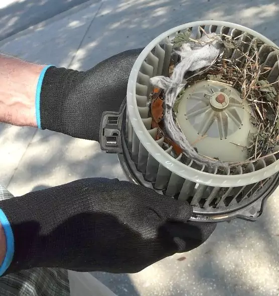 About Air Duct Rat Removal in Olive Branch, MS