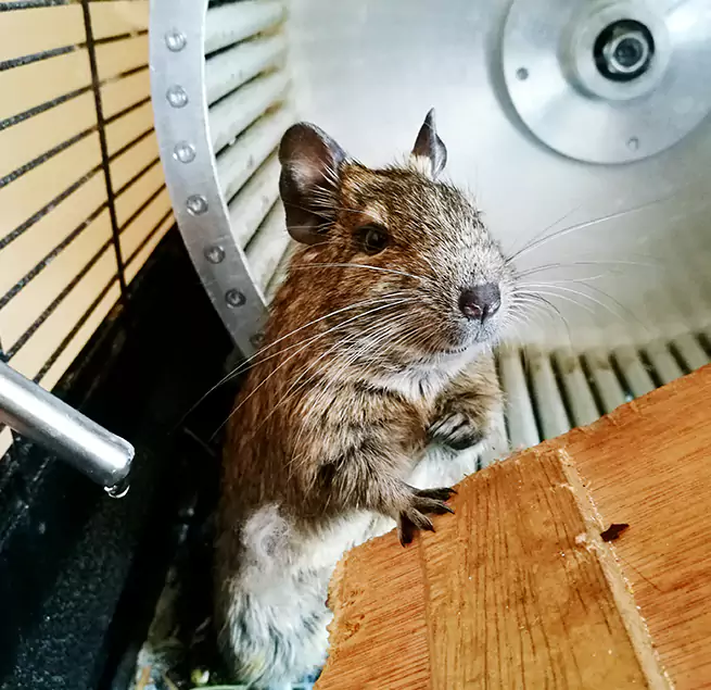 Why Homeowners & Businesses Trust Us Olive Branch, MS?