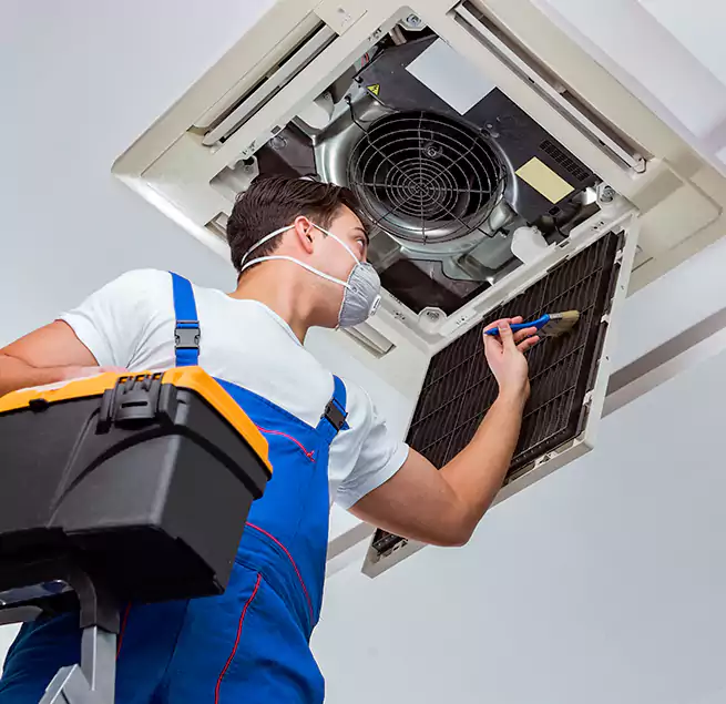 Why Homeowners & Businesses Trust Us in Olive Branch, MS