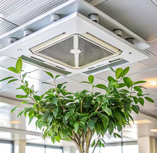 Why Homeowners & Businesses Trust Us in Olive Branch, MS?