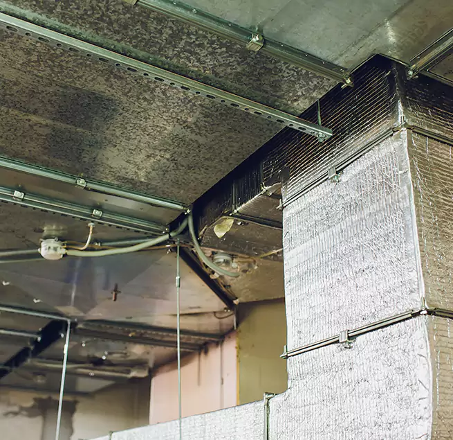 Why Homeowners & Businesses Trust Us in Olive Branch, MS?