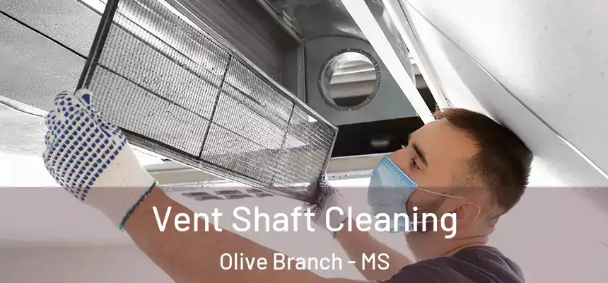  Vent Shaft Cleaning Olive Branch - MS