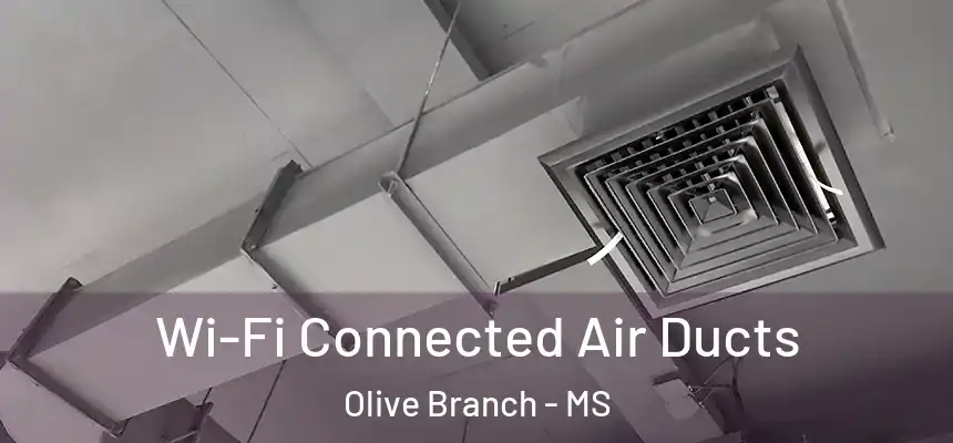 Wi-Fi Connected Air Ducts Olive Branch - MS
